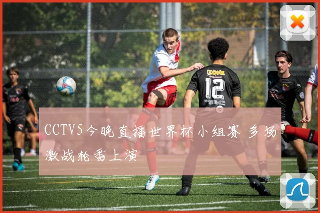 CCTV5今晚直播世界杯小组赛 多场激战轮番上演